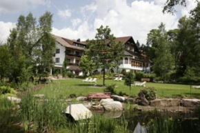 Гостиница Hotel Waldblick Kniebis, Книбис